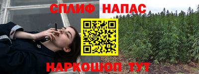 гидра Кимры