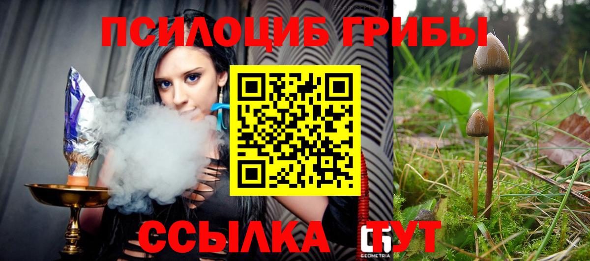 Псилоцибиновые грибы Psilocybe  Вход с VPN  Псилоцибиновые грибы GOLDEN TEACHER  где купить наркоту  Фурманов 